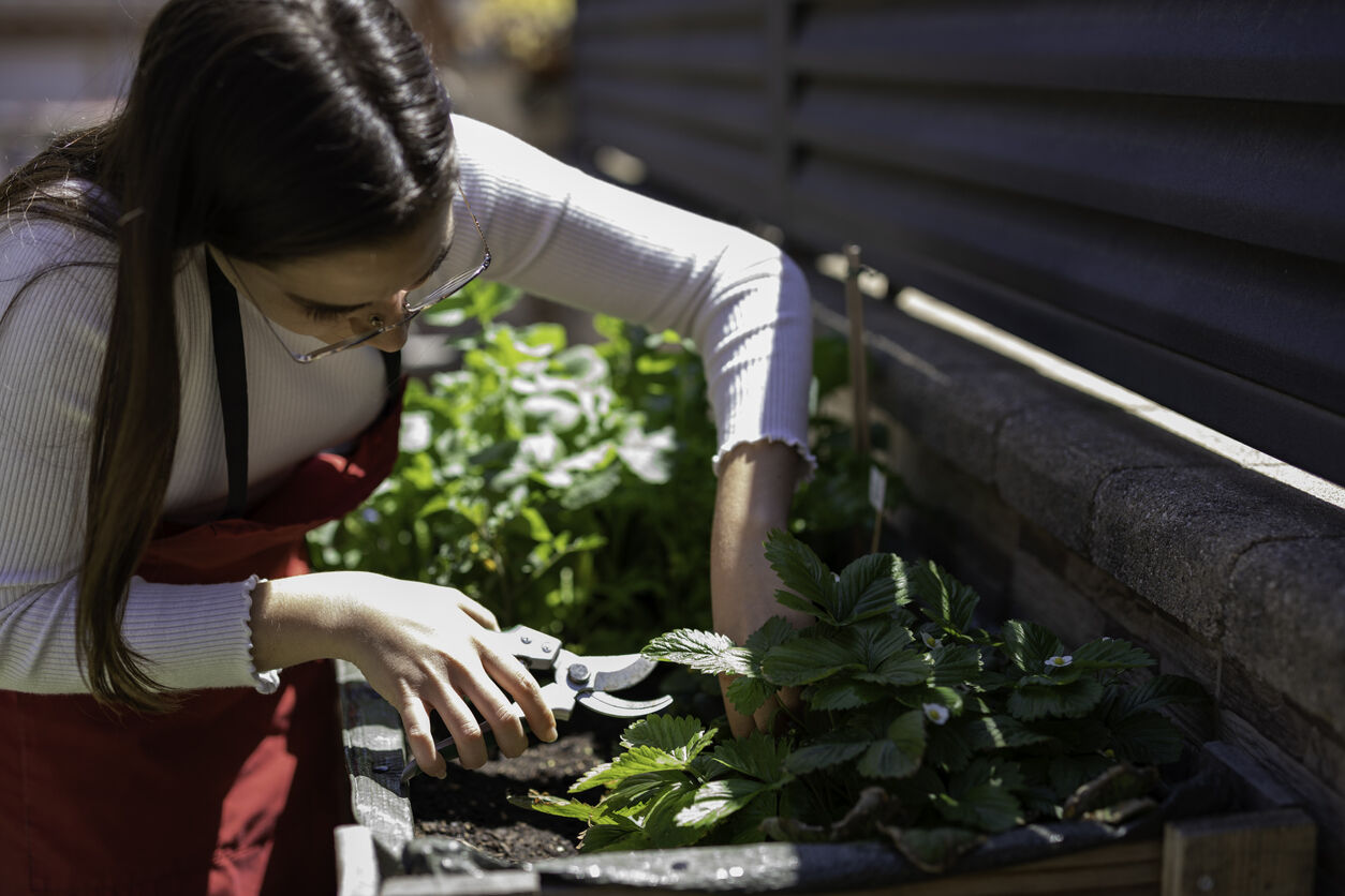 agriculture 4